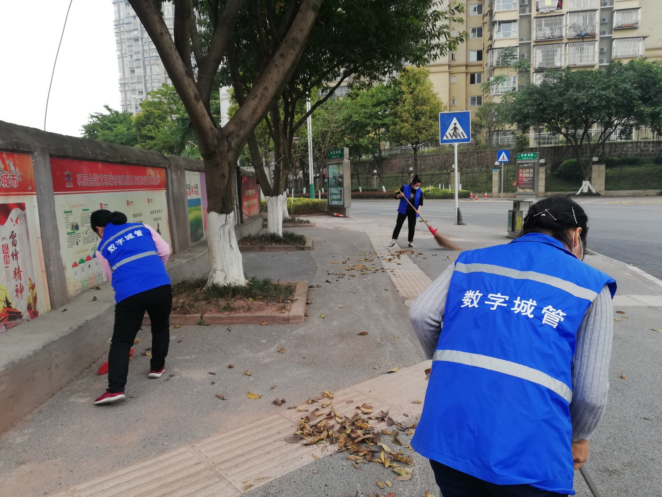 瀘州-愛國衛(wèi)生運(yùn)動(dòng)