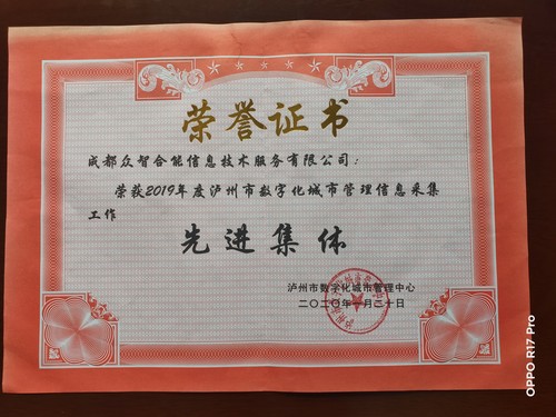 榮譽(yù)證書(shū)-瀘州市數(shù)字化城市管理中心