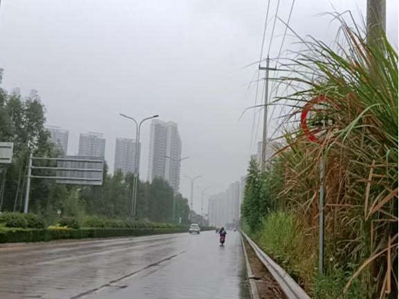 全力以赴戰(zhàn)寒潮，姜汁湯圓暖人心