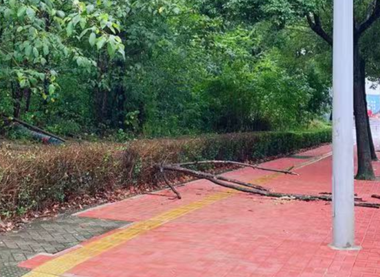 防汛有我 “雨”你同行